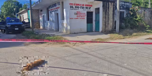 Por tercera ocasión, habitantes reportan actos de crueldad animal en Tekax