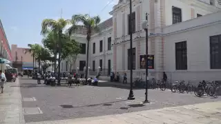 A pesar de la señalética, turistas creen que son aparatos para agilizar la movilidad de los peatones