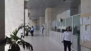 Paula Balam dio a conocer el informe final del Cejudi.