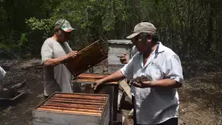 El Gobernador anuncia medidas para evitar más ecocidios como el que ocurrió en Nohalal