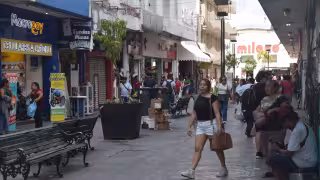 Actualmente, 10 jóvenes trabajan en el levantamiento de encuestas y análisis del entorno