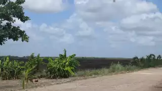 La comunidad aún no salía de problemas de salud por el frío cuando se enfrentó a la mortandad de abejas