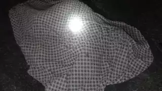 El conductor pertenecía a la empresa Turismo Riviera Maya