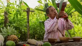 El Jaanlil Kool es un ritual maya de agradecimiento y petición a los dioses del monte