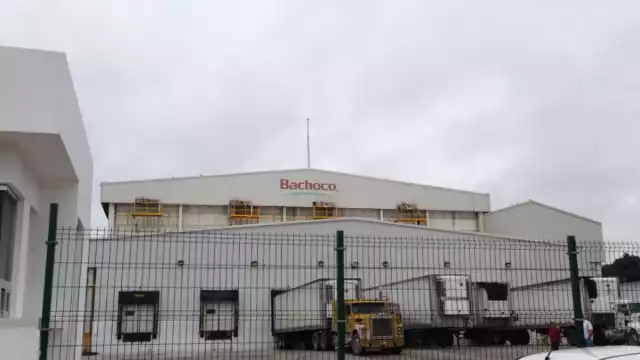 Bachoco no ha informado sobre el accidente en la planta de la Mérida-Umán