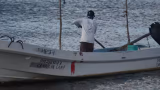 Exigen renuncia del director de Inpesca por la depredación del pulpo maya en Campeche
