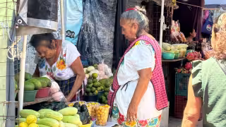 Crece el número de maya hablantes en Yucatán; buscan recuperar su uso cotidiano