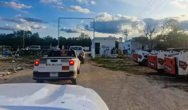 Selva baja caducifolia, la más afectada por desmonte ilegal