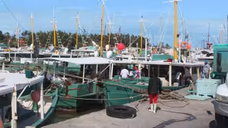“Rayas” afectan la captura de mero en Progreso: pescadores cobran adelantos y huyen