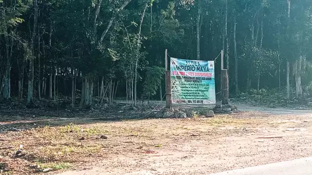 Estas personas fueron contratadas para cuidar predios durante el auge de los terrenos nacionales hace alrededor de 30 años