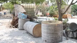 Secretaría de Desarrollo Sustentable justifica la tala de árboles en la Plaza Grande de Mérida