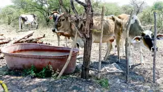 Solo con la ayuda de la federación se podrá lograr la soberanía alimentaria que requiere México.