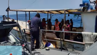 Refuerzan vigilancia en aguas de Yucatán contra la captura ilegal de la cacerolita de mar