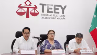 El tribunal también valida afiliaciones de Morena, pues cumplen con los lineamientos establecidos