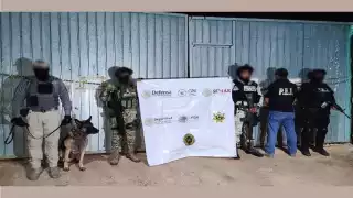 Armas largas, cartuchos, drogas y cinco vehículos fueron asegurados luego de dos diligencias