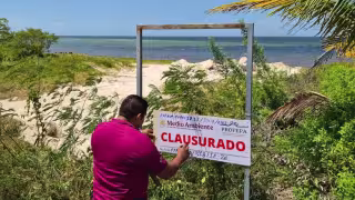 Clausuran predio en Chabihau por causar daños al ecosistema
