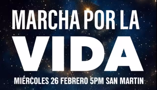 Marchan Pro-Vida