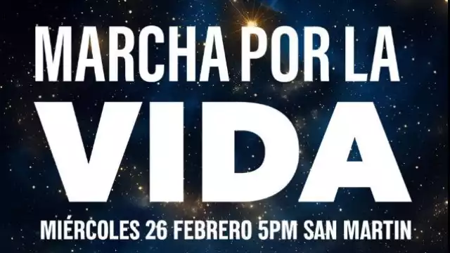 Marchan Pro-Vida
