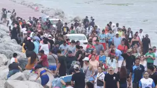 Evacuan a bañistas por avistamiento de cocodrilo