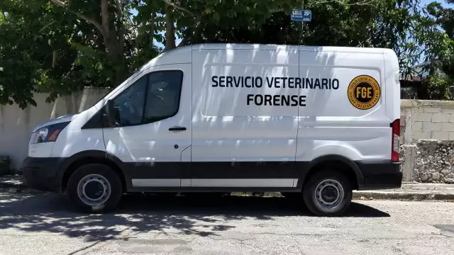 Las autoridades ministeriales iniciaron las diligencias correspondientes