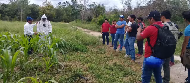 Familias de Cabichén recibirán asesoría sobre cómo manejar agroquímicos de uso cotidiano