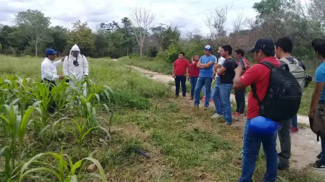 Familias de Cabichén recibirán asesoría sobre cómo manejar agroquímicos de uso cotidiano