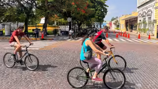 Hay diversas actividades para realizar en Mérida de lunes a domingo