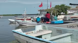 Marina, Conapesca y Sepasy refuerzan operativos contra la pesca furtiva en Yucatán