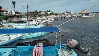 Onda Tropical 22 paraliza la pesca en el Litoral Oriente de Yucatán; ordenan cierre de puertos