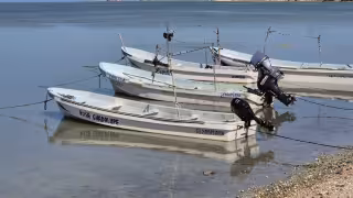 Pescadores de Campeche alertan por robo constante de motores de lancha