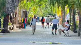 Empresarios de la Riviera Maya trabajan contra la pared: No registran ingresos, pero tienen que pagar impuestos