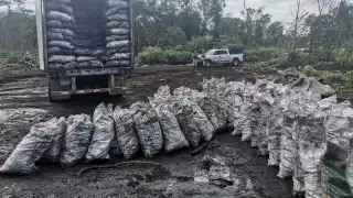 Ejidatarios denuncian invasión y venta ilegal de carbón en Pomuch
