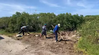 Arranca programa  conjunto de rescate al  manglar en Progreso