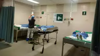  Solamente un caso de tosferina reportado en Campeche