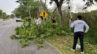 Protección Civil Yucatán realiza simulacros  ante la llegada de un Ciclón Tropical