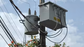 Árboles y fallas en líneas eléctricas, entre las causas de apagones en Yucatán, revela la CFE