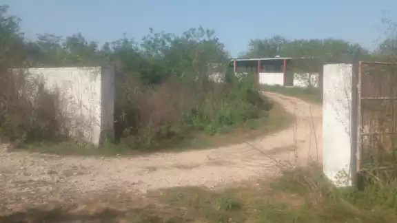 Pobladores señalan las pésimas condiciones en las que se encuentra el matadero municipal Pobladores señalan las pésimas condiciones en las que se encuentra el matadero municipal