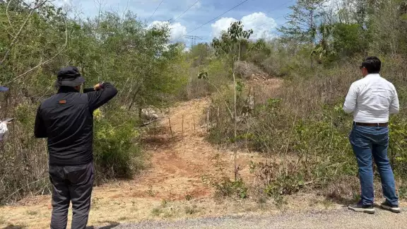 Se afectaron más de 10 km de selva perteneciente a la Reserva Biocultural del Puuc, que alberga especies importantes de la fl ora y fauna, como el jaguar