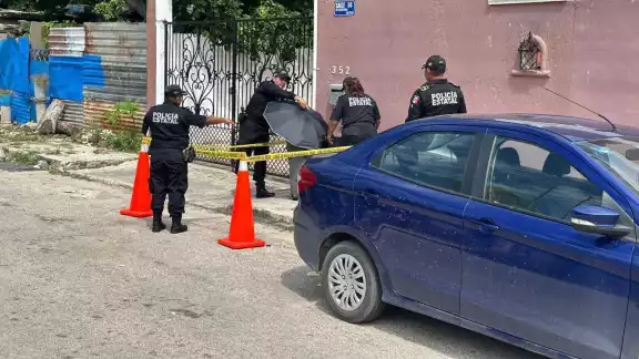 El animal, que estaba vivo, fue llevado a una clínica veterinaria. El animal, que estaba vivo, fue llevado a una clínica veterinaria.