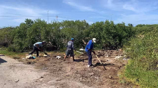 Colaboran instituciones académicas, municipales y sociales en la recuperación de la Zona Cero