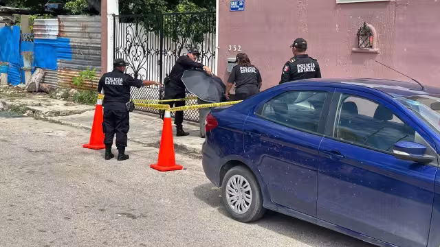 El animal, que estaba vivo, fue  llevado a una clínica veterinaria.