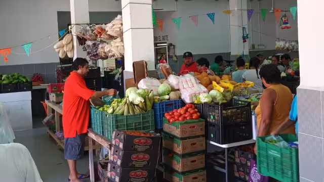 Los frentes fríos ocasionan que aumente el precio de productos como pepino, calabaza y rábano