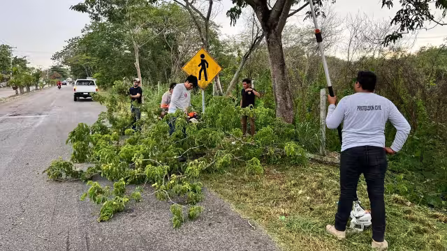 En los ejercicios han participado ofi cinas gubernamentales, de la iniciativa privada y otras instancias.