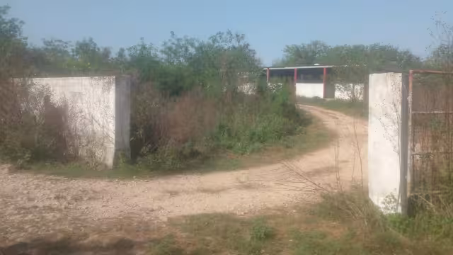 Pobladores señalan las pésimas condiciones en las que se encuentra el matadero municipal