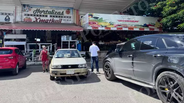 Se realizan investigaciones por el envenenamiento de perros en la Central de Abastos