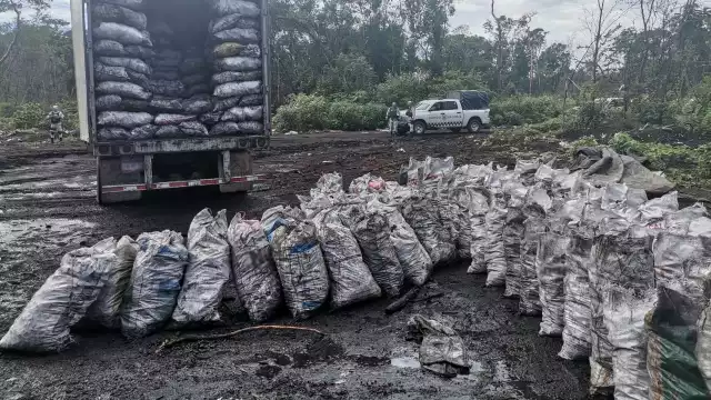 Los invasores sacan diariamente 500 costales de carbón