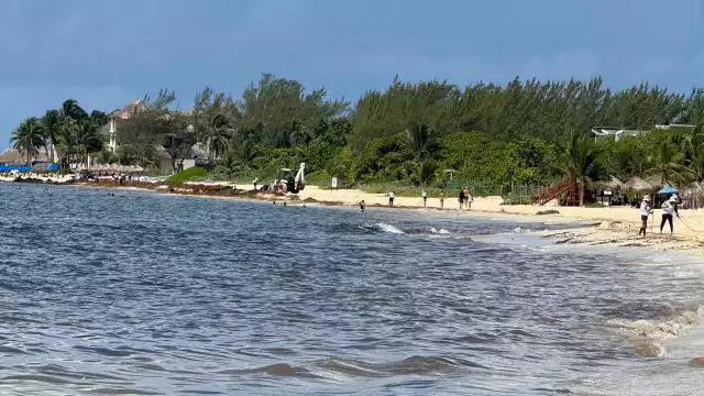 Destruir los manglares aumenta la erosión costera.