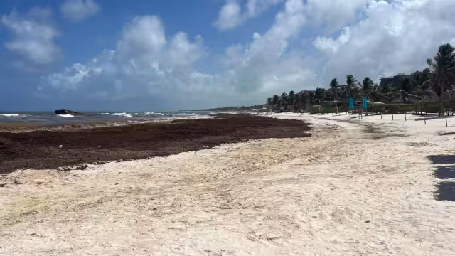 El equipo de 101 personas y siete retroexcavadoras retiran entre 150 y 200 toneladas diarias