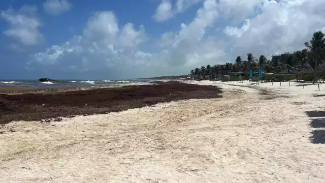 El equipo de 101 personas y siete retroexcavadoras retiran entre 150 y 200 toneladas diarias