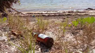 Falta de vigilancia en Playa Coral de Cancún provoca su contaminación